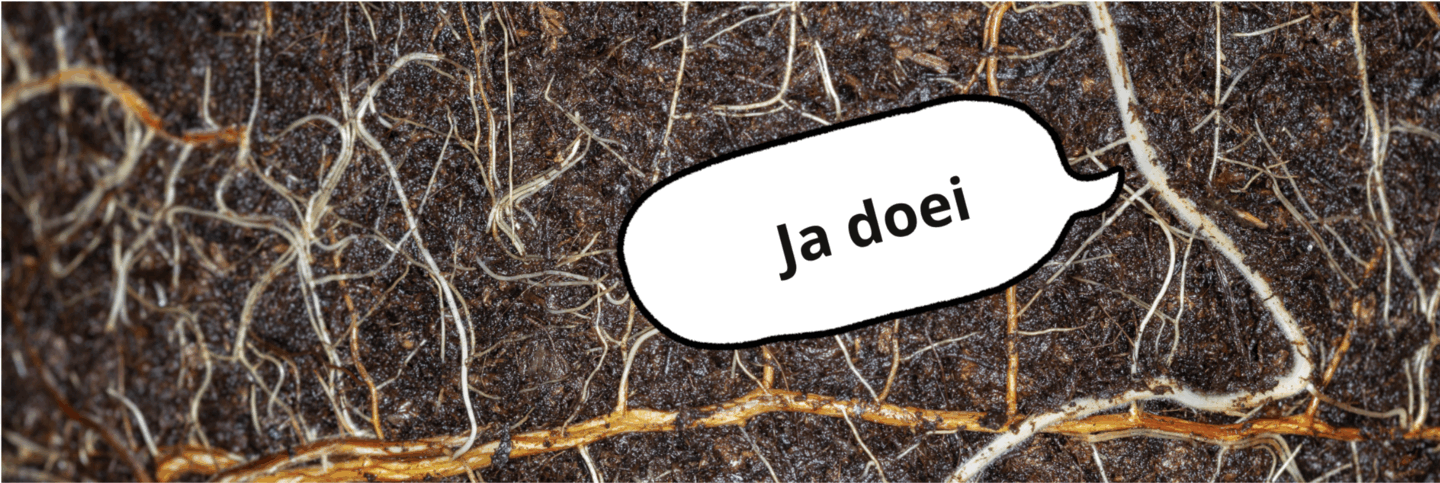 Educatieproject Loeren