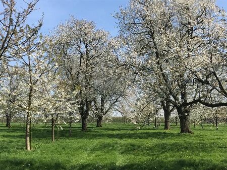 Loeren bij de Boeren Festival verplaatst naar 4 juli 2021