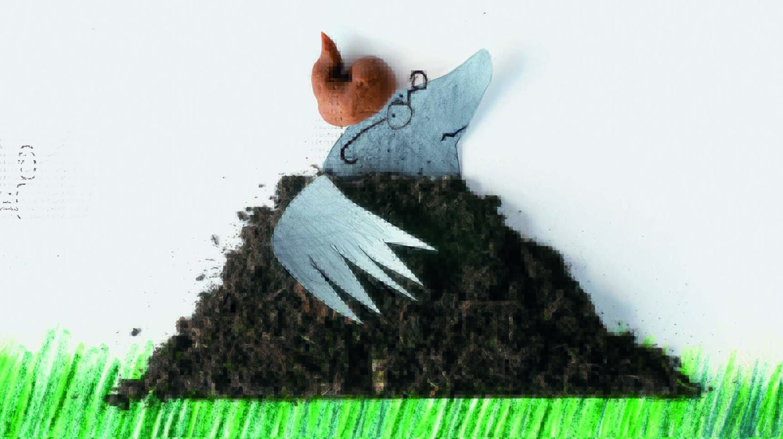 Over een kleine mol die wil weten wie er op zijn kop gepoept heeft