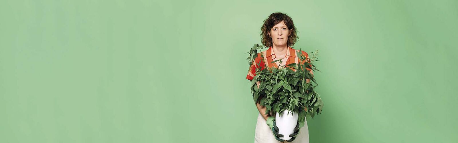 Pluk eventueel de dag