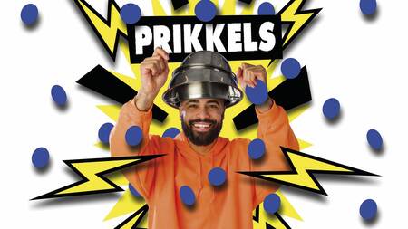 Prikkels