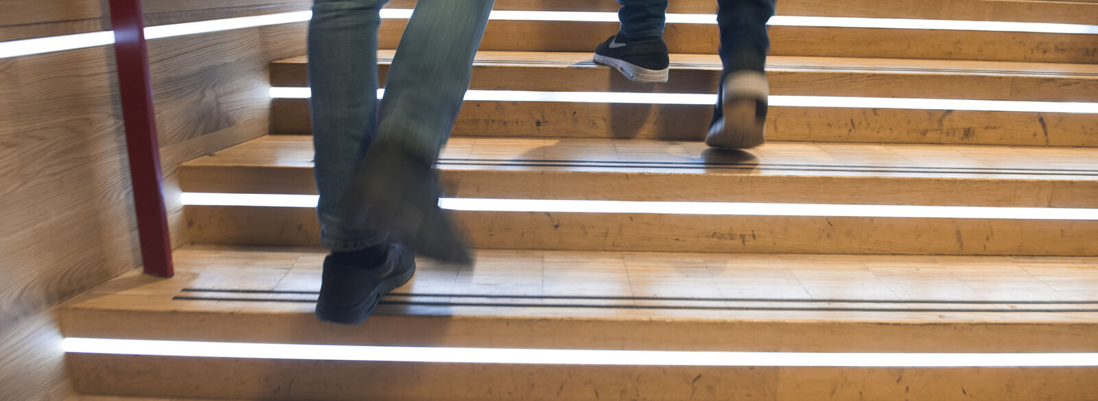 Rondleiding Ouder & Kind (7+)